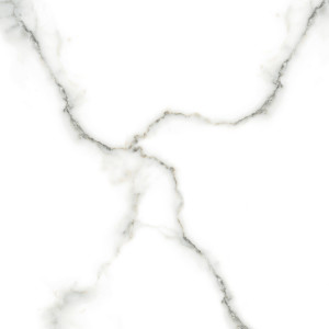 1 Paket (1,44 m²) Feinsteinzeug Fliesen CARRARA (60 × 60 cm), poliert