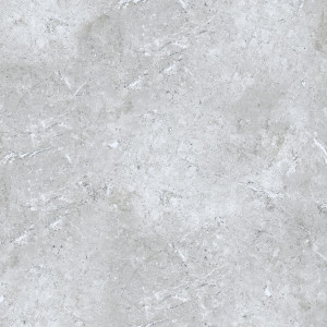 1 Paket (1,44 m²) Feinsteinzeug Fliesen ATLANTIS GREY (60 × 60 cm), poliert