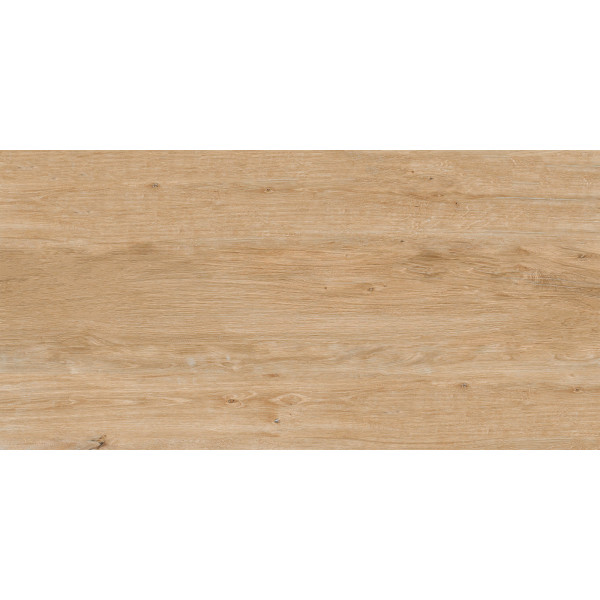 1 Paket (1,44 m²) Feinsteinzeug Fliesen ROVERWOOD PINE (60 × 120 cm), matt