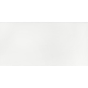 1 Paket (1,44 m²) Keramik Fliesen WALL WHITE SHINY (30 × 60 cm), glänzend