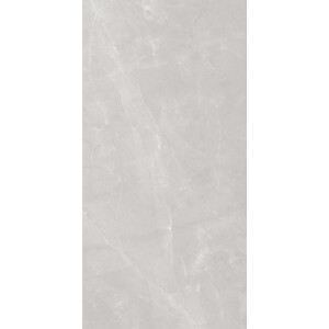 1 Paket (2,88 m²) Slab Fliesen LEO GREY (120 × 240 cm), poliert