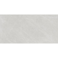 1 Paket (1,44 m²) Feinsteinzeug Fliesen FORLI LIGHT GREY (60 × 120 cm), matt