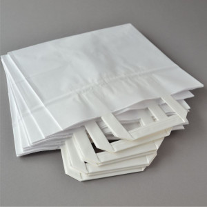 100 Stück Papiertragetaschen (26+17×25 cm),...